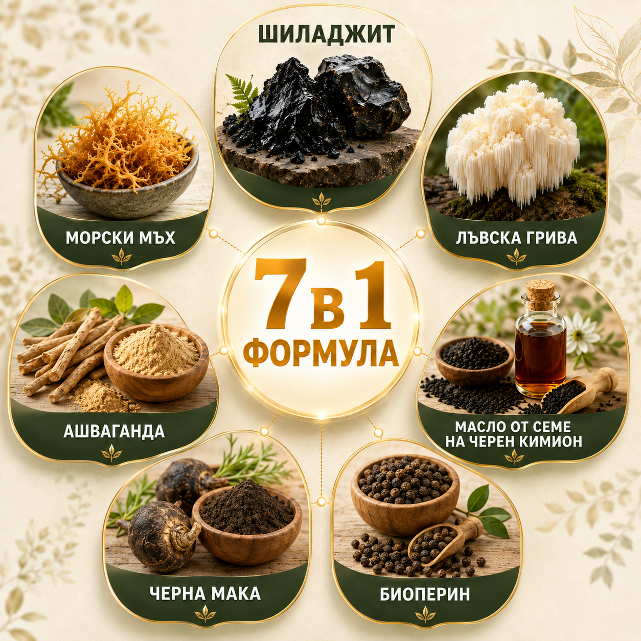 SHILAJIT 7-in-1 Най-мощната формула за енергия, фокус и мъжка сила