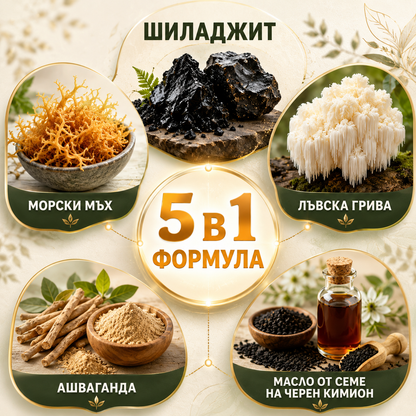 SHILAJIT 5-in-1 Най-мощната формула за енергия, фокус и мъжка сила